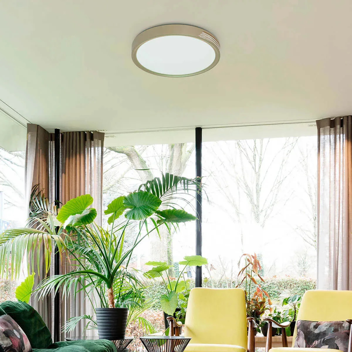 Plafón de Techo LED Moderno Skoll en Blanco, Gris o Champagne con Diseño Elegante - Imagen 4